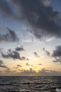 20150918_07347  