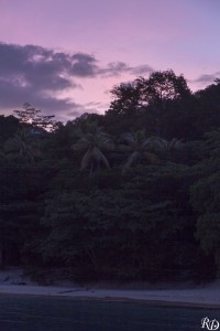 20150919_07555  