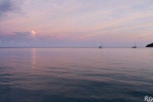 20150919_07556  
