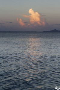 20150920_07906  