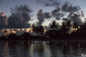 20150921_08088  